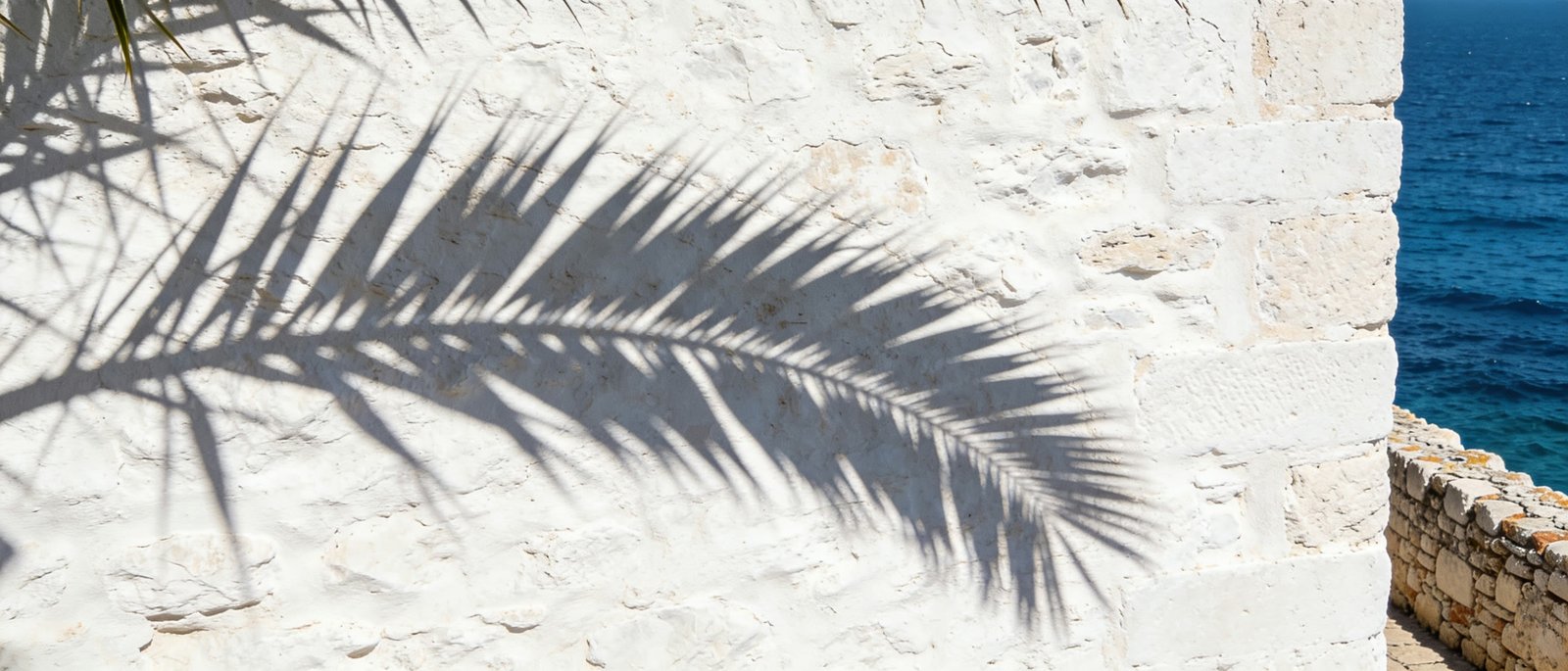 L'ombre d'une palme sur un vieux mur blanchi à la chaux, la mer bleue au bord du cadre.